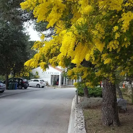 Luksustelt Glamping Soline 4*